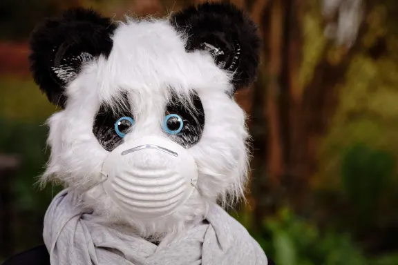 West Kazino Atbalsts